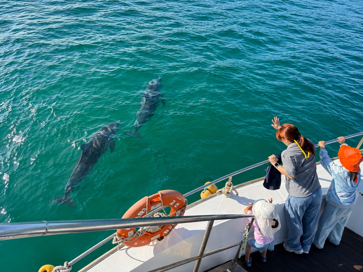 Mga pasyalan sa Jeju: Chagwido Boat Fishing